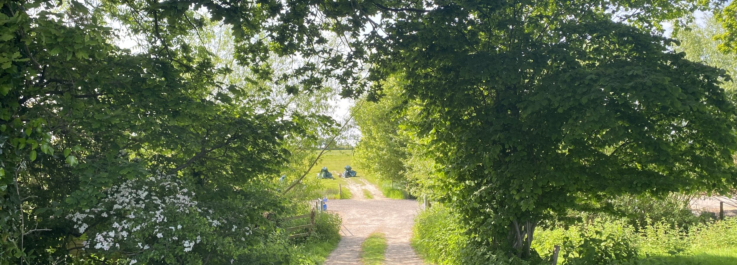 shooting at mill farm clap pigeon club